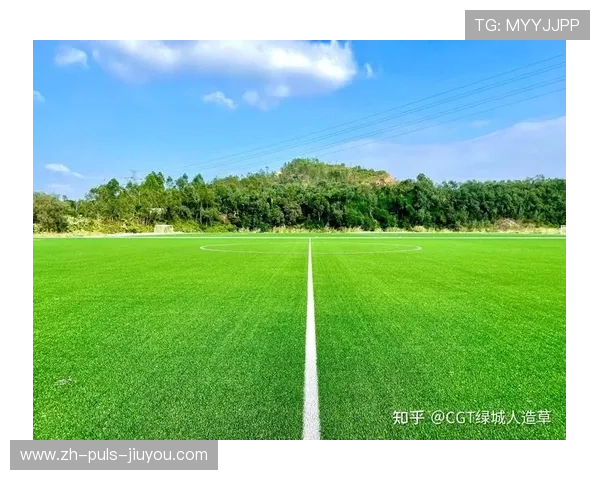 比赛在人工草场举行，速度与策略并重，国际比赛可以使用人工草坪吗